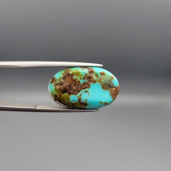 A 14.47-carat oval natural Iranian Neyshabur turquoise cabochon held in metal tweezers against a neutral gray background. The front presents a high-gloss greenish-blue dome with sparse, naturally formed brown matrix flecks, while the reverse side reveals a flat surface showing earthy brown host rock intermixed with raw turquoise.