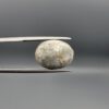 An 11.15-carat oval natural Iranian Neyshabur turquoise cabochon held in metal tweezers against a neutral gray background. The front displays a high-gloss greenish-blue dome with a heavy, intricate network of dark brownish-golden matrix, while the reverse side reveals a flat, unpolished grey host-rock base.
