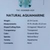 Digital image of a Gemstone Report from The Gemstone Company (Report # TGC-20260828-4529) dated August 28, 2026, signed by GIA Graduate Gemologist Muhammad Momin. It details a 22.34 Carat Octagonal Mixed Cut Natural Aquamarine with transparent greenish-blue color.