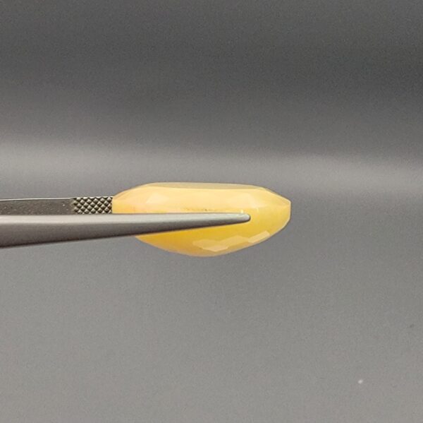 Studio photograph held in steel tweezers showcasing a massive 10.67 carat natural oval-shaped Ethiopian opal loose gemstone featuring a double-side fancy cut with flat and domed facets.