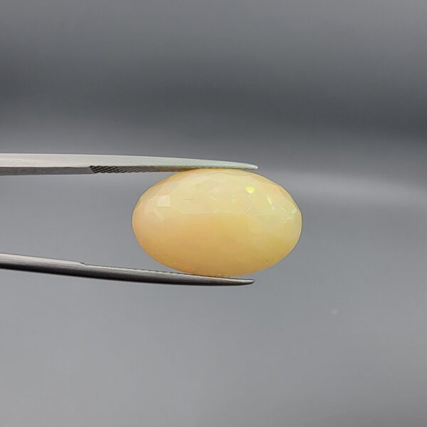 Studio photograph held in steel tweezers showcasing a massive 10.67 carat natural oval-shaped Ethiopian opal loose gemstone featuring a double-side fancy cut with flat and domed facets.