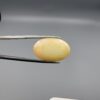 Studio photograph held in steel tweezers showcasing a massive 10.67 carat natural oval-shaped Ethiopian opal loose gemstone featuring a double-side fancy cut with flat and domed facets.