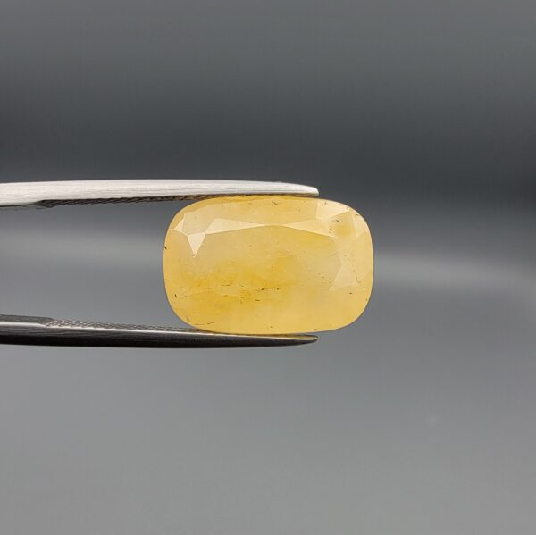 Studio photograph held in steel tweezers showcasing a large 13.70 carat natural cushion-shaped yellow sapphire (Pukhraj) loose gemstone with vibrant golden-yellow hue.