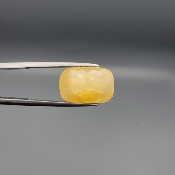 Studio photograph held in steel tweezers showcasing a large 13.70 carat natural cushion-shaped yellow sapphire (Pukhraj) loose gemstone with vibrant golden-yellow hue.