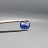 Studio photograph held in steel tweezers showcasing a 1.00 carat natural oval-shaped blue sapphire (Neelam) loose gemstone with a high-shine finish and classic blue facets.