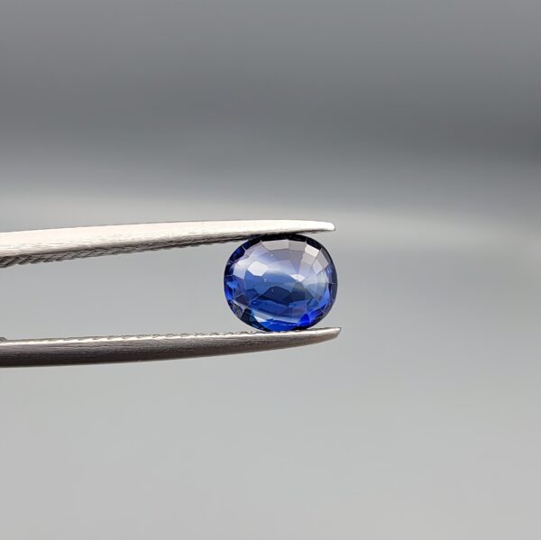 Studio photograph held in steel tweezers showcasing a 1.00 carat natural oval-shaped blue sapphire (Neelam) loose gemstone with a high-shine finish and classic blue facets.