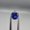 Studio photograph held in steel tweezers showcasing a 1.20 carat natural oval-shaped blue sapphire loose gemstone with rich blue facets and visible surface inclusions.