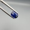 Studio photograph held in steel tweezers showcasing a 1.20 carat natural oval-shaped blue sapphire loose gemstone with rich blue facets and visible surface inclusions.