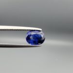 Studio photograph held in steel tweezers showcasing a 1.20 carat natural oval-shaped blue sapphire loose gemstone with rich blue facets and visible surface inclusions.