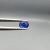 Studio photograph held in steel tweezers showcasing a 1.14 carat natural oval-shaped blue sapphire loose gemstone with deep blue facets and a high-shine finish.