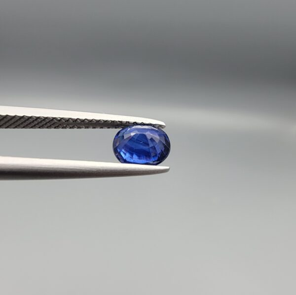 Studio photograph held in steel tweezers showcasing a 1.14 carat natural oval-shaped blue sapphire loose gemstone with deep blue facets and a high-shine finish.