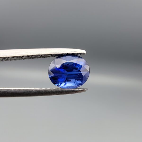 Studio photograph held in steel tweezers showcasing a 1.14 carat natural oval-shaped blue sapphire loose gemstone with deep blue facets and a high-shine finish.