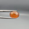 Natural honey-amber Hessonite Garnet Gomed oval cut gemstone 9.38 carat, untreated with natural inclusions