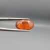 Studio close-up photographs showing the front and back view of a 10.74 carat oval-cut natural hessonite garnet gemstone displaying a warm honey-orange color and semi-transparent clarity.