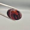 "Natural Carnelian Banded Agate Sulemani Aqeeq gemstone 25.08 carat oval cabochon from Iran held in tweezers showing brown, black, and white natural bands"