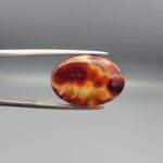 Studio close-up photographs showing the top dome face and reverse profile views of a 13.99 carat oval cabochon natural fire agate loose gemstone held in precision tweezers.