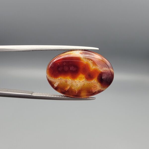 Studio close-up photographs showing the top dome face and reverse profile views of a 13.99 carat oval cabochon natural fire agate loose gemstone held in precision tweezers.