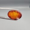 Studio close-up photographs showing the top dome face and reverse profile views of a 13.99 carat oval cabochon natural fire agate loose gemstone held in precision tweezers.