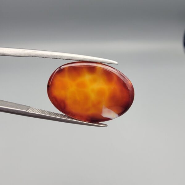 Studio close-up photographs showing the top dome face and reverse profile views of a 13.99 carat oval cabochon natural fire agate loose gemstone held in precision tweezers.