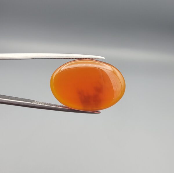 Studio close-up photographs showing the smooth polished dome and reverse-lit translucent view revealing intricate black dendritic moss inclusions inside a 17.51 carat oval cabochon natural carnelian agate gemstone held in precision tweezers.