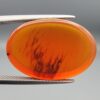 Studio close-up photographs showing the smooth polished dome and reverse-lit translucent view revealing intricate black dendritic moss inclusions inside a 17.51 carat oval cabochon natural carnelian agate gemstone held in precision tweezers.