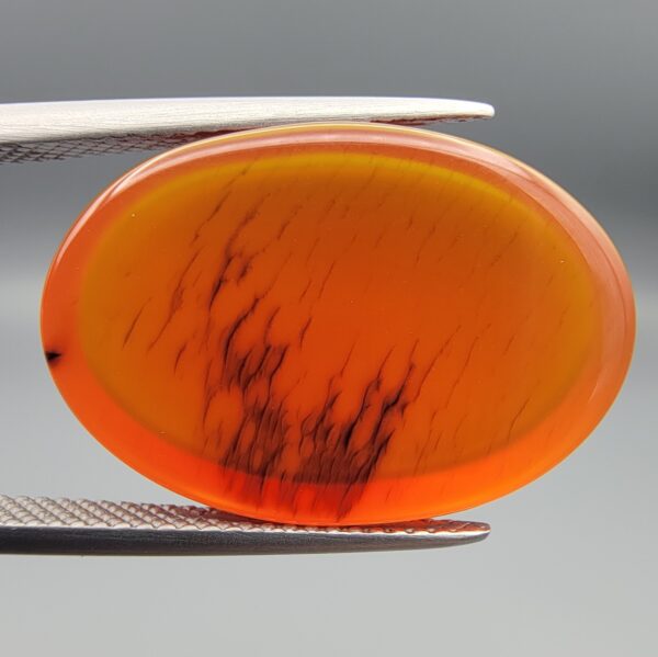 Studio close-up photographs showing the smooth polished dome and reverse-lit translucent view revealing intricate black dendritic moss inclusions inside a 17.51 carat oval cabochon natural carnelian agate gemstone held in precision tweezers.