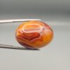 Studio close-up photographs showing the high-domed top surface, intricate concentric color banding, and reverse pattern views of a 56.58 carat dome-shaped natural chalcedony banded agate loose gemstone held in precision tweezers.