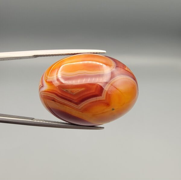 Studio close-up photographs showing the high-domed top surface, intricate concentric color banding, and reverse pattern views of a 56.58 carat dome-shaped natural chalcedony banded agate loose gemstone held in precision tweezers.