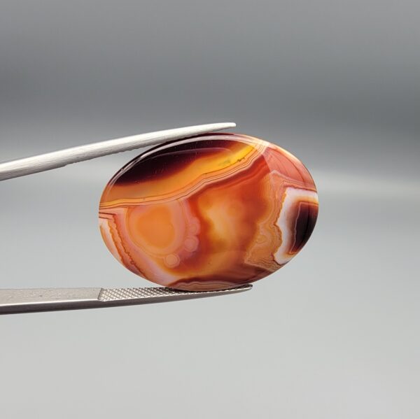 Studio close-up photographs showing the high-domed top surface, intricate concentric color banding, and reverse pattern views of a 56.58 carat dome-shaped natural chalcedony banded agate loose gemstone held in precision tweezers.