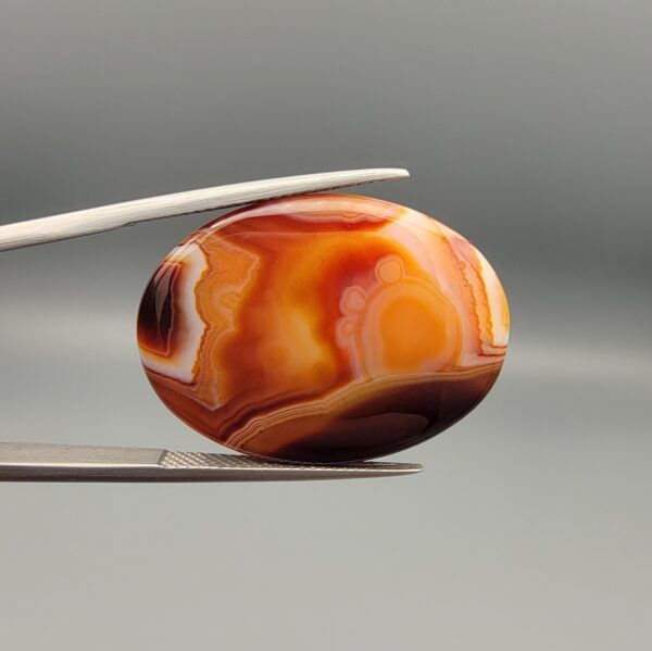 Studio close-up photographs showing the high-domed top surface, intricate concentric color banding, and reverse pattern views of a 56.58 carat dome-shaped natural chalcedony banded agate loose gemstone held in precision tweezers.