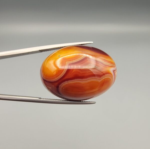 Studio close-up photographs showing the high-domed top surface, intricate concentric color banding, and reverse pattern views of a 56.58 carat dome-shaped natural chalcedony banded agate loose gemstone held in precision tweezers.