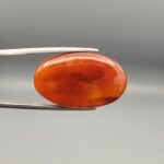 Studio close-up photographs showing the smooth polished dome, side profile featuring distinct internal black banding, and reverse pattern views of a 24.85 carat oval carnelian agate loose gemstone held in precision tweezers.
