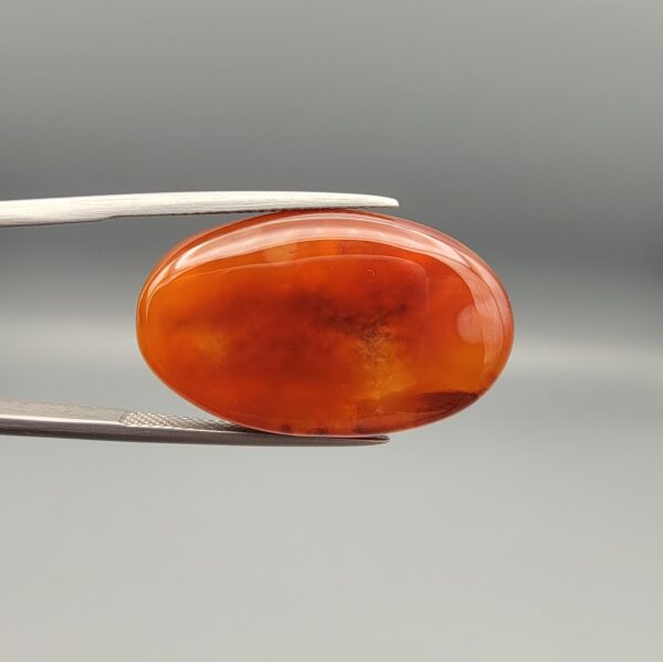 Studio close-up photographs showing the smooth polished dome, side profile featuring distinct internal black banding, and reverse pattern views of a 24.85 carat oval carnelian agate loose gemstone held in precision tweezers.