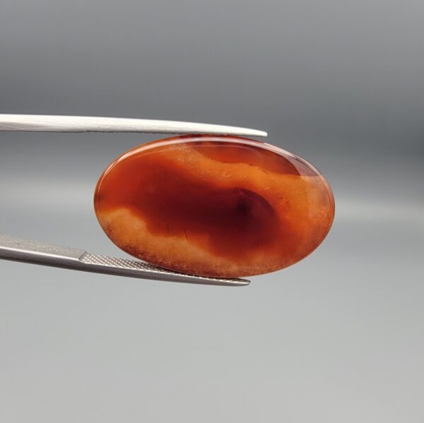 Studio close-up photographs showing the smooth polished dome, side profile featuring distinct internal black banding, and reverse pattern views of a 24.85 carat oval carnelian agate loose gemstone held in precision tweezers.