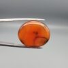 Studio close-up photographs showing the smooth polished dome, vibrant translucent orange body, and distinct internal black mineral layers of a 23.07 carat oval carnelian agate loose gemstone held in precision tweezers.