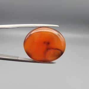 Studio close-up photographs showing the smooth polished dome, vibrant translucent orange body, and distinct internal black mineral layers of a 23.07 carat oval carnelian agate loose gemstone held in precision tweezers.