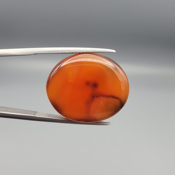 Studio close-up photographs showing the smooth polished dome, vibrant translucent orange body, and distinct internal black mineral layers of a 23.07 carat oval carnelian agate loose gemstone held in precision tweezers.