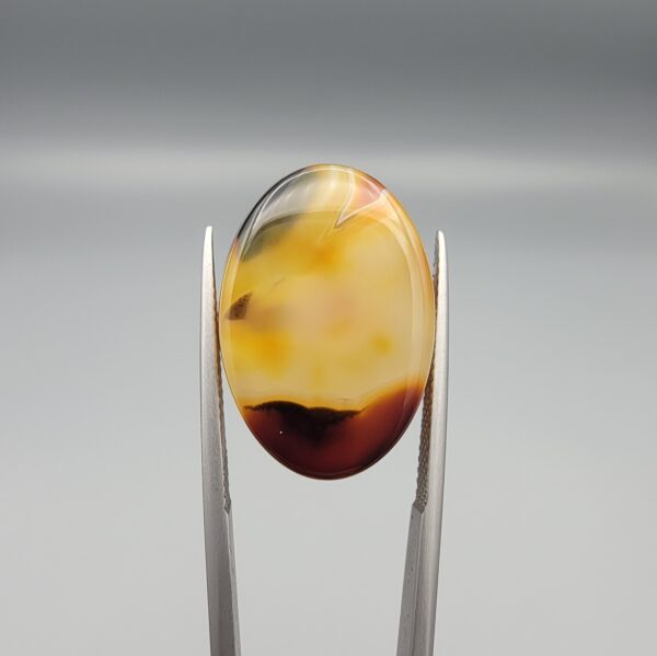 Studio close-up photographs showing the high-domed top surface, contrasting black and orange banding, and orientation views of a 21.68 carat oval cabochon natural chalcedony agate loose gemstone held in precision tweezers.