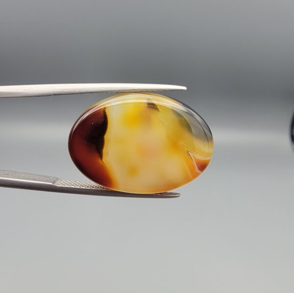 Studio close-up photographs showing the high-domed top surface, contrasting black and orange banding, and orientation views of a 21.68 carat oval cabochon natural chalcedony agate loose gemstone held in precision tweezers.