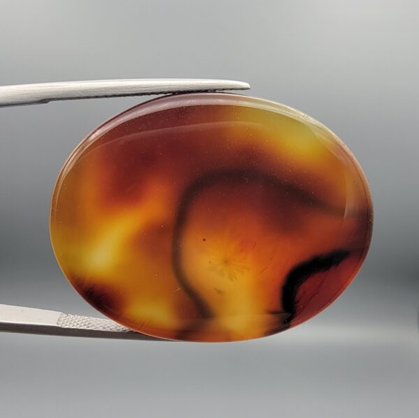 ​Studio close-up photographs showing the high-domed translucent top surface, intricate organic black and white banding formations, and reverse pattern views of a 49.55 carat oval cabochon orangish yellow agate loose gemstone held in precision tweezers.