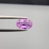 Studio close-up photograph showcasing a 1.55-carat oval-cut natural vivid purple sapphire loose gemstone featuring visible internal feathering and a subtle flash of blue zoning near the lower girdle edge, held securely in precision tweezers.