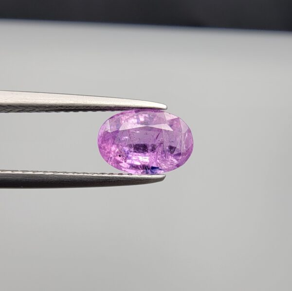 Studio close-up photograph showcasing a 1.55-carat oval-cut natural vivid purple sapphire loose gemstone featuring visible internal feathering and a subtle flash of blue zoning near the lower girdle edge, held securely in precision tweezers.