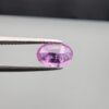 Studio close-up photograph showcasing a 1.55-carat oval-cut natural vivid purple sapphire loose gemstone featuring visible internal feathering and a subtle flash of blue zoning near the lower girdle edge, held securely in precision tweezers.