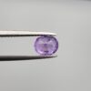 Studio close-up photographs showcasing a 1.44-carat oval-cut natural vivid purple sapphire loose gemstone with visible internal feathering and distinct color zoning, held securely in precision tweezers against a neutral grey background.
