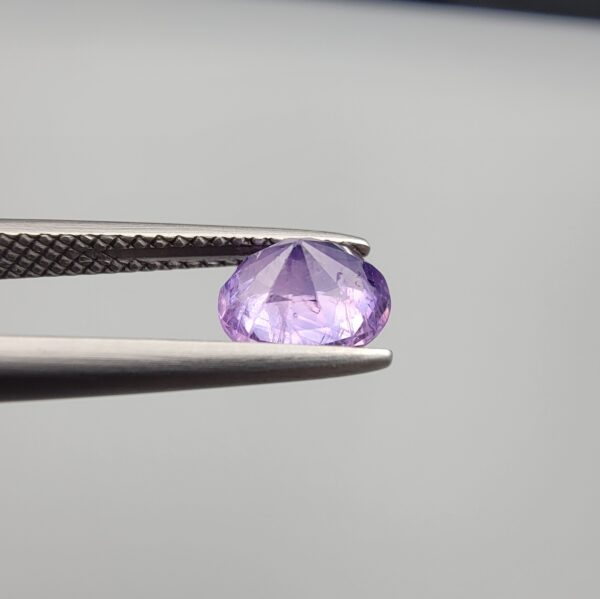 Studio close-up photographs showcasing a 1.44-carat oval-cut natural vivid purple sapphire loose gemstone with visible internal feathering and distinct color zoning, held securely in precision tweezers against a neutral grey background.