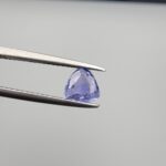 Studio close-up photograph showcasing a 1.55-carat oval trillion-cut natural soft delicate periwinkle blue violet-blue sapphire loose gemstone featuring subtle color zoning and natural internal characteristics, held securely in precision tweezers.