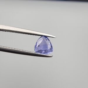 Studio close-up photograph showcasing a 1.55-carat oval trillion-cut natural soft delicate periwinkle blue violet-blue sapphire loose gemstone featuring subtle color zoning and natural internal characteristics, held securely in precision tweezers.