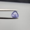 Studio close-up photograph showcasing a 1.55-carat oval trillion-cut natural soft delicate periwinkle blue violet-blue sapphire loose gemstone featuring subtle color zoning and natural internal characteristics, held securely in precision tweezers.