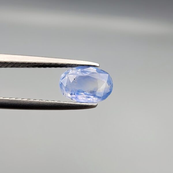 Studio close-up photograph showcasing a 1.38 carat oval-cut natural blue sapphire Neelam loose gemstone held securely in precision tweezers against a neutral grey background.