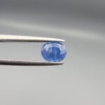 Studio close-up photograph displaying a 1.45-carat oval-cut natural blue sapphire Neelam gemstone held securely in precision tweezers against a neutral grey background.